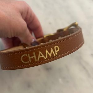 Personalized CHAMP. Mark and Graham.